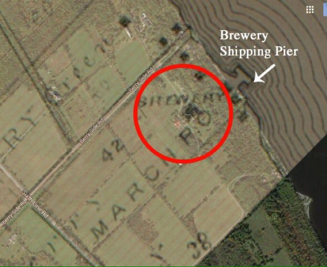 Andrew King tweet media