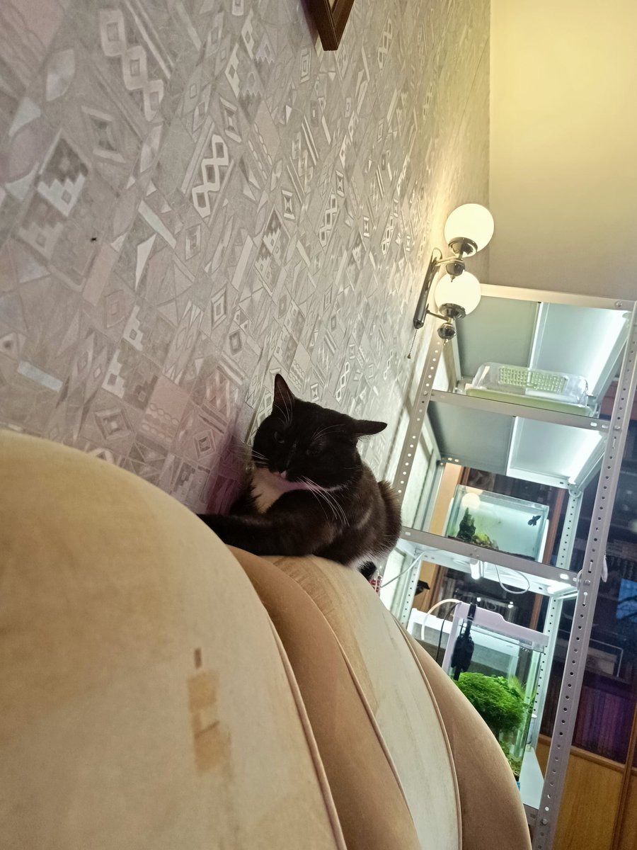 черепаший хлеб 🇷🇺 tweet media