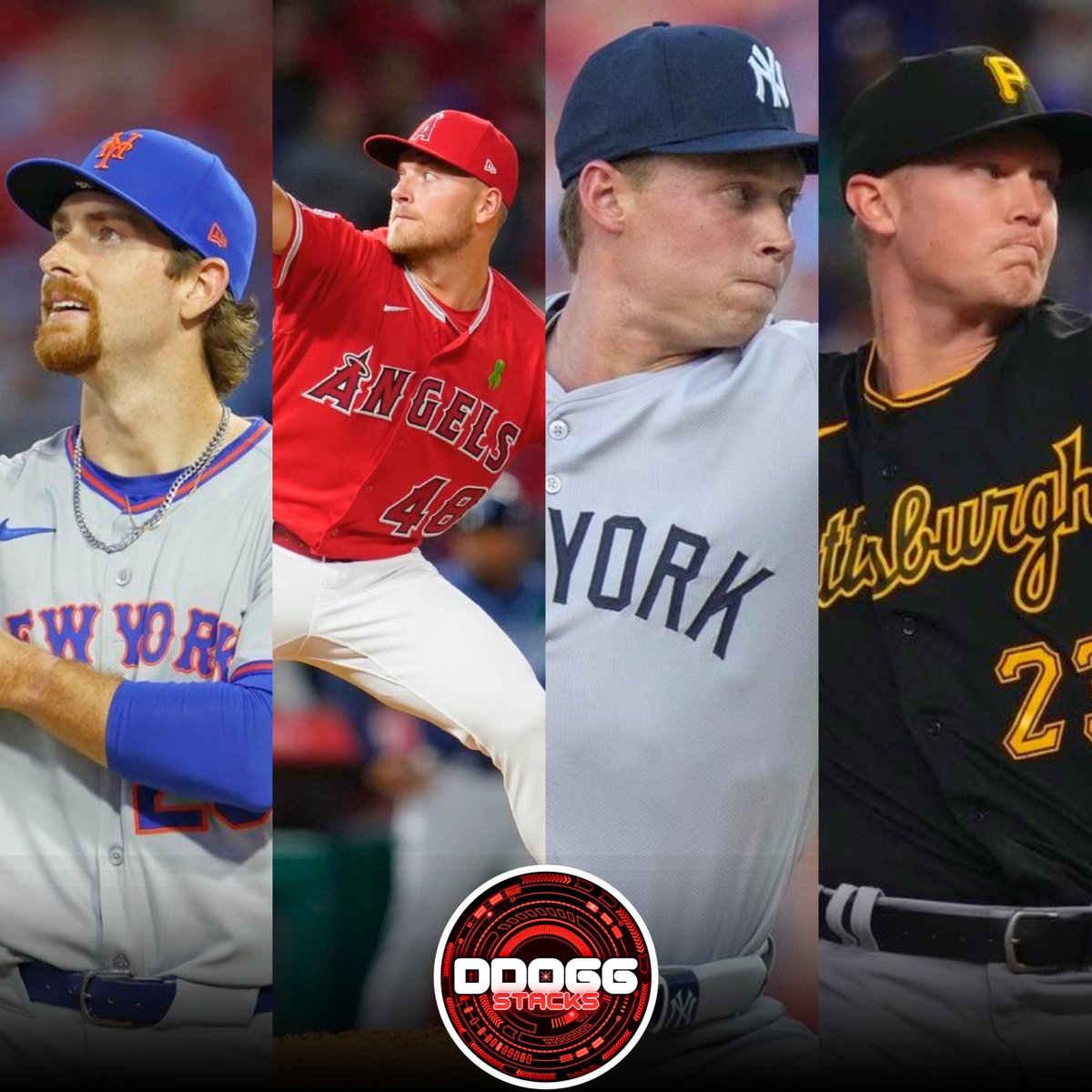 DDOGG🐶 tweet media