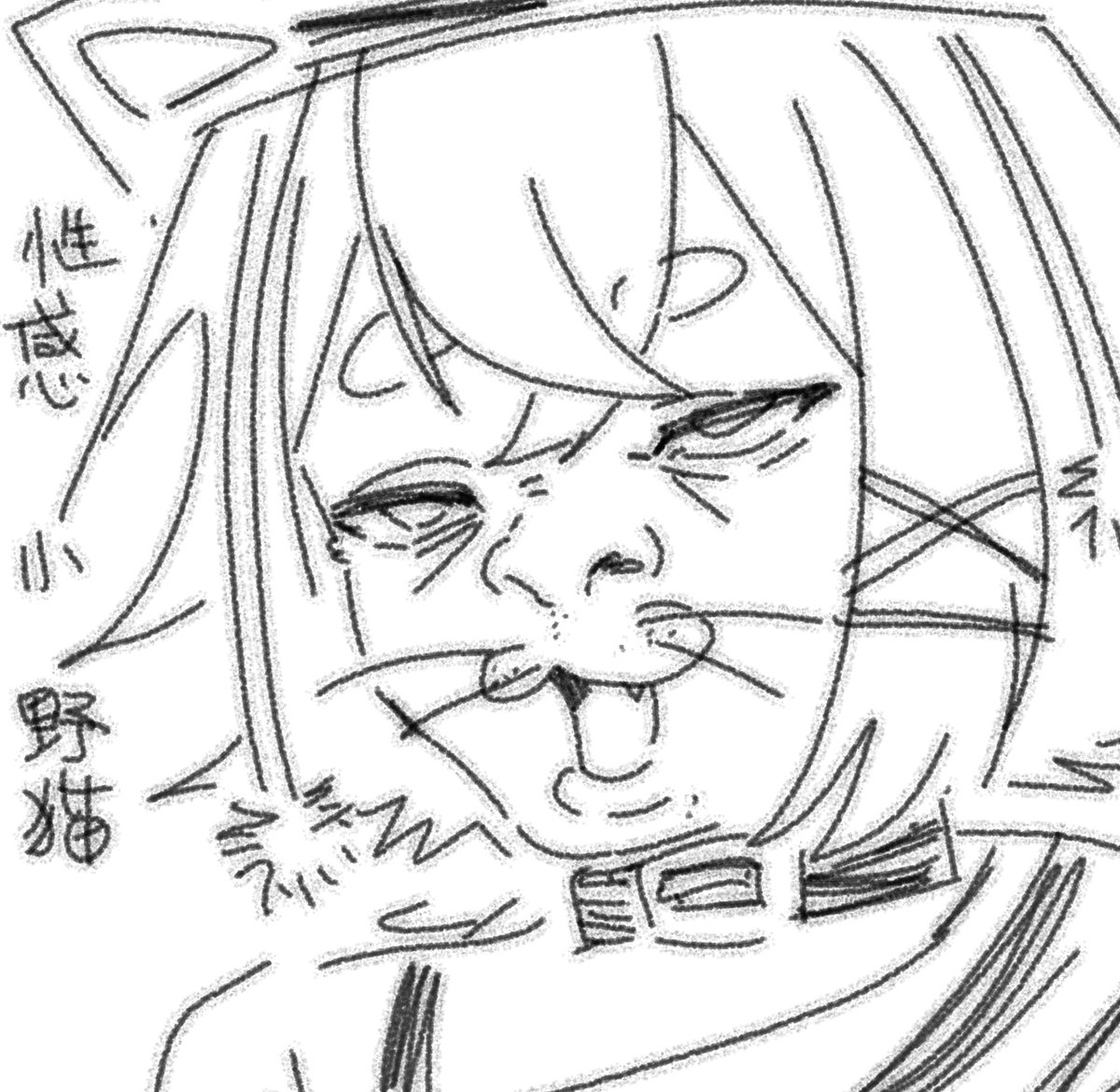 アリエス-work tweet media