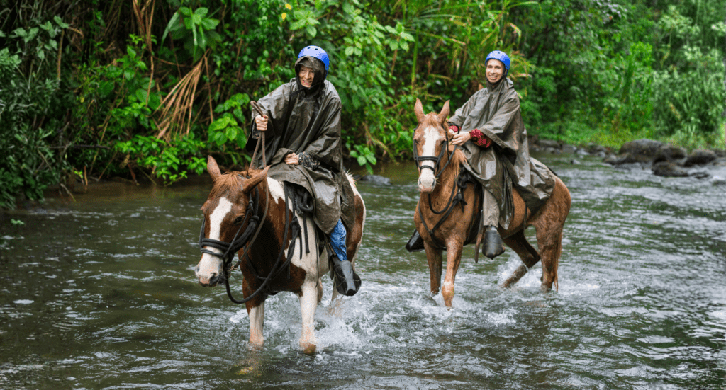 First time on a horse? Arenal makes it easy 🌿

Volcano views, calm trails, and the freedom to get there your way with VAMOS Rent-A-Car!
ow.ly/sX7M50Ynmcm

#VamosRentACar #CostaRicaTravel #PuraVida #CostaRica #RoadTripCostaRica