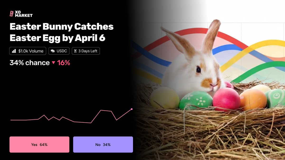 XO Market tweet media