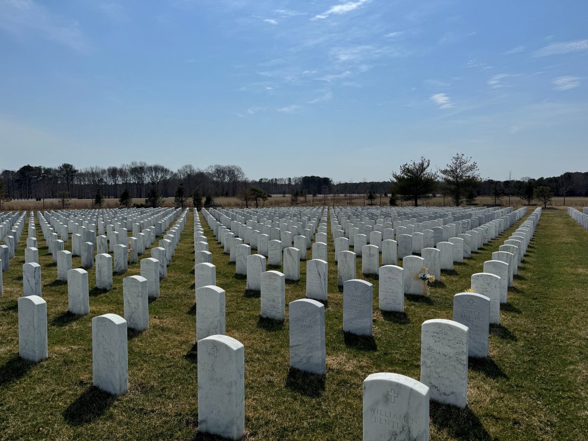Section 65.
#NoVeteranEverDies
#WhereHeroesRest
#CalvertonNationalCemetery