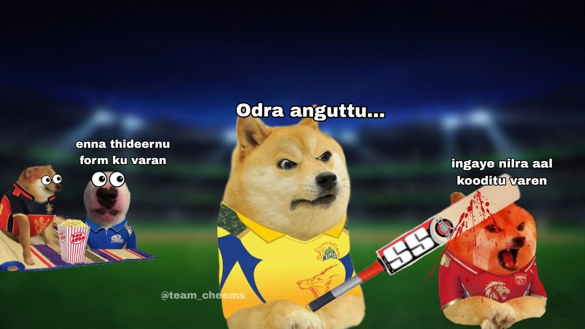 Team Cheems tweet media