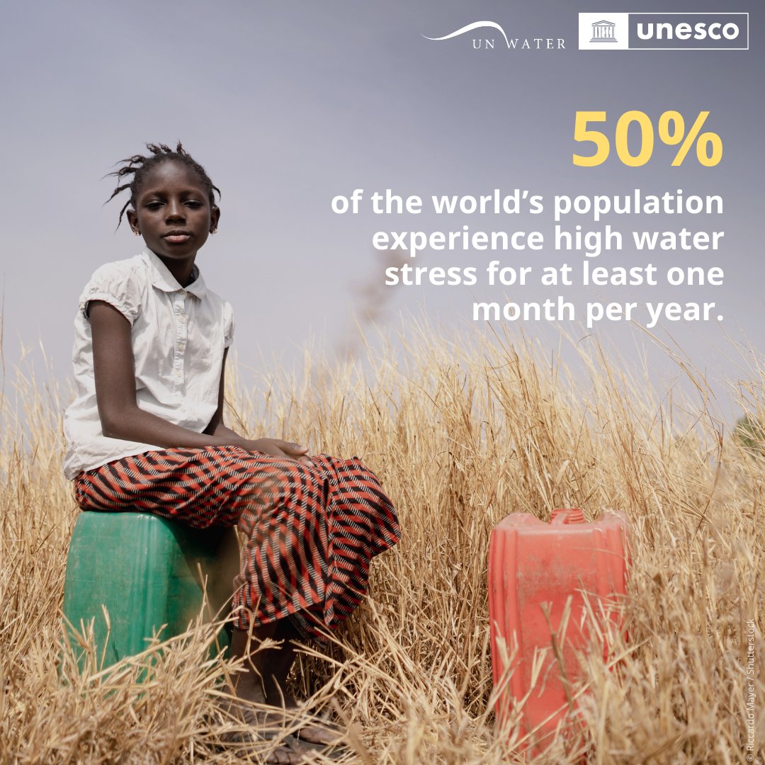 UNESCO 🏛️ #Education #Sciences #Culture 🇺🇳 tweet media