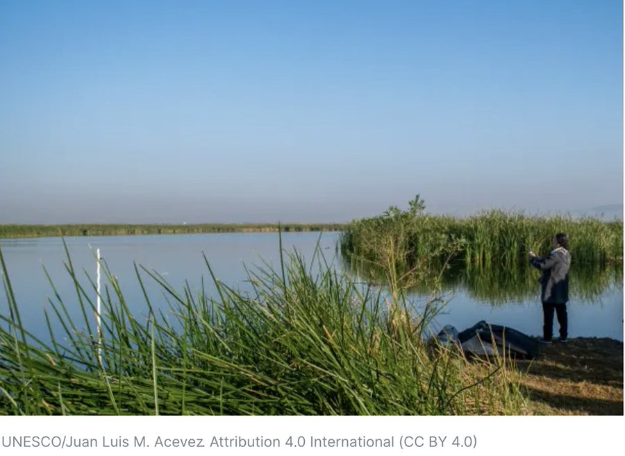 ONU México tweet media