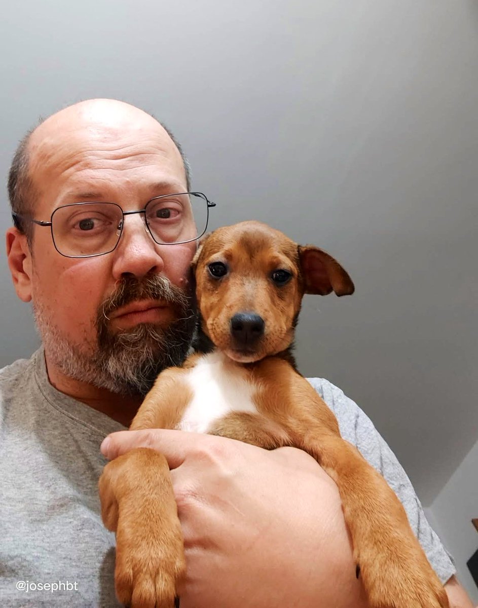 [ UDOMI, NE KUPUJ ] Čovjekoliki lik je MPŽ (moj prijatelj Žare), a pesice koje drži zovu se Bandit 🤭 i Jelka 🥰
MPŽ nije za udomljavanje (možda i je, moram ga pitati), ali cure sigurno jesu. Stare su 3 mjeseca i čipirane. 
Zainteresiranima šaljem kontakt.