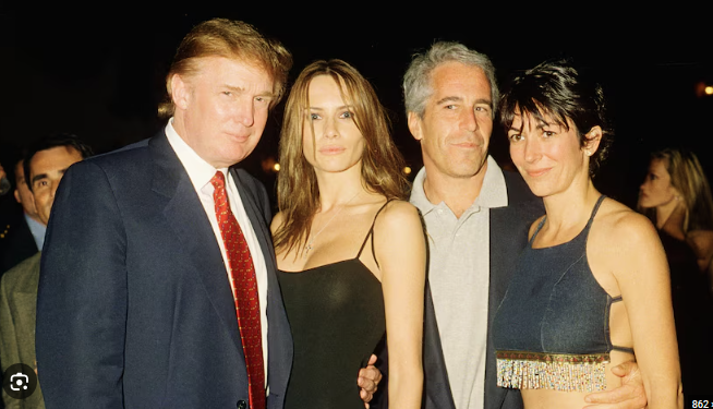 Brown Eyed Susan tweet media