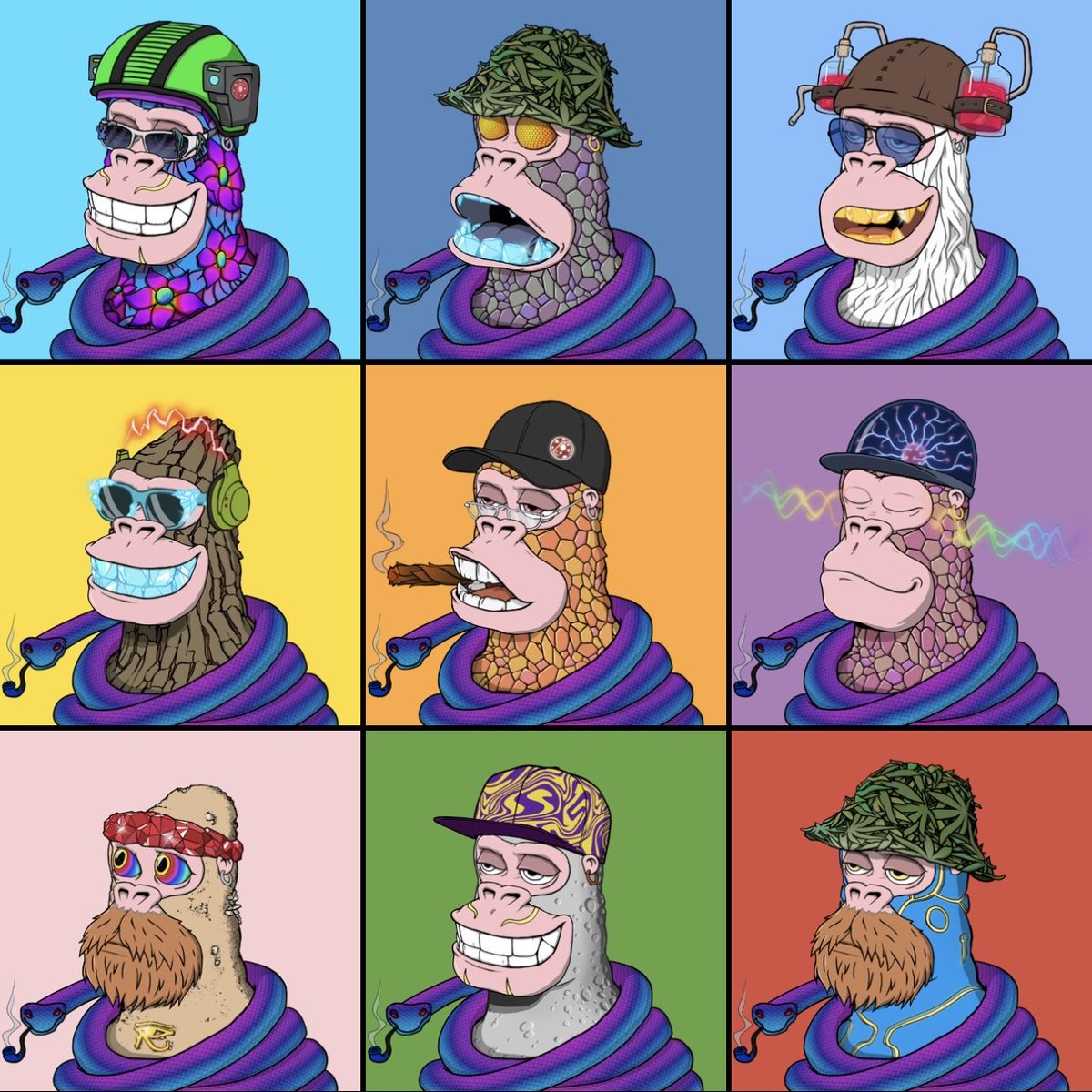 KONG #8445 tweet media