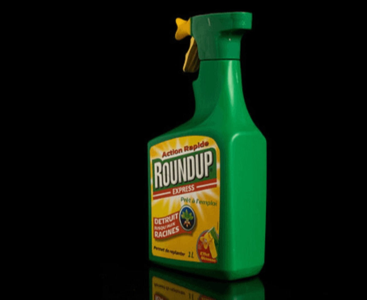 Josh Macin tweet media