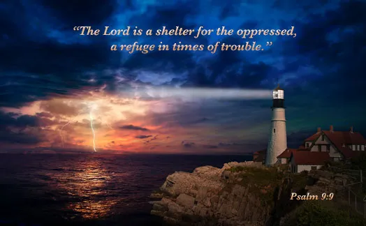 Michelle tweet media