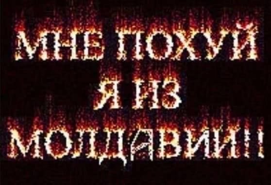 а. котёночкина tweet media