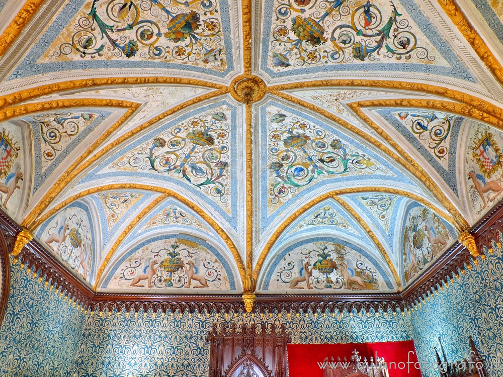 milanofotografo's tweet photo. San Colombano al Lambro (#Milan #Italy): Blue hall of the Castle of San Colombano al Lambro. Exif, full size img: https://t.co/mzOUfs29vQ
Read more: https://t.co/vgnfJvCITl
#Lombardia #Italia #Italien #castello #Schloss #neogothic #neogotisch #neogotico @850sancolombano @lombardiatour @D_Lombardia @ig_lombardia_ @inLOMBARDIA @inLOMBARDIA_RU @InlombardiaOrg @AppInLombardia @asscultABAM @GxLombardia