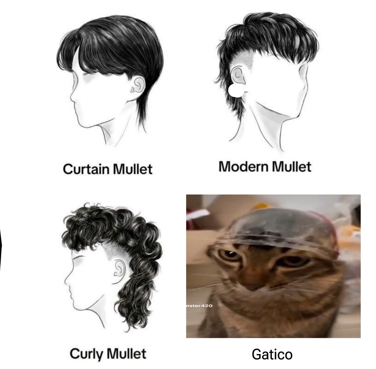 chincheto pirata somali tweet media