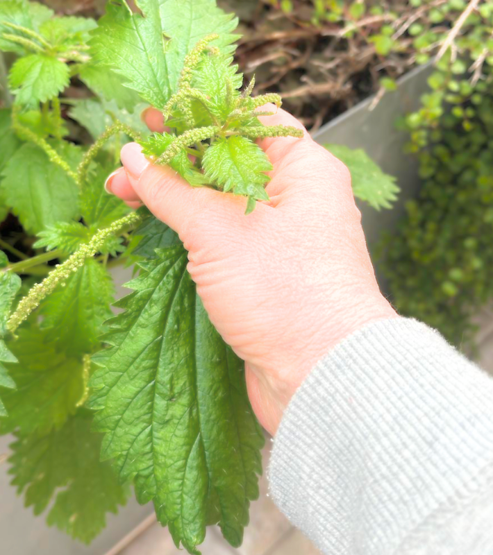 Cristina Cersei tweet media