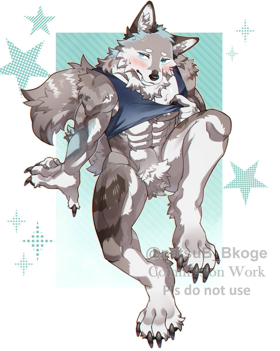 Koge🐾 tweet media