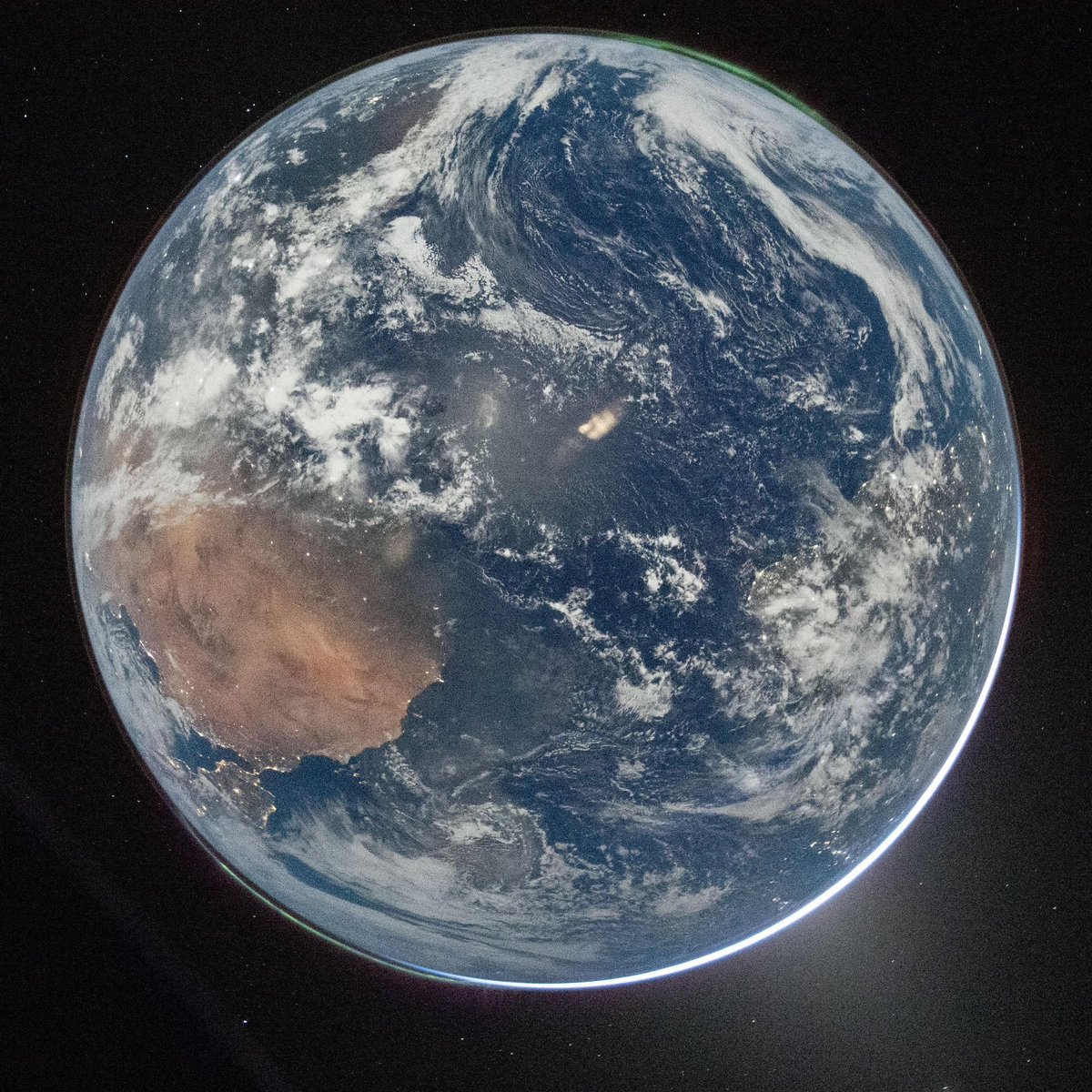 Pop Tingz tweet media