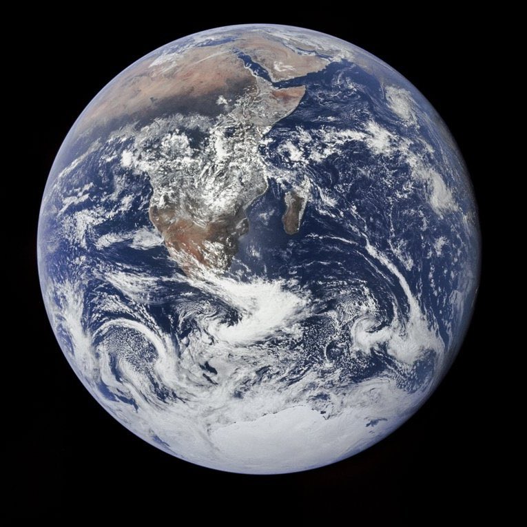 Pop Tingz tweet media