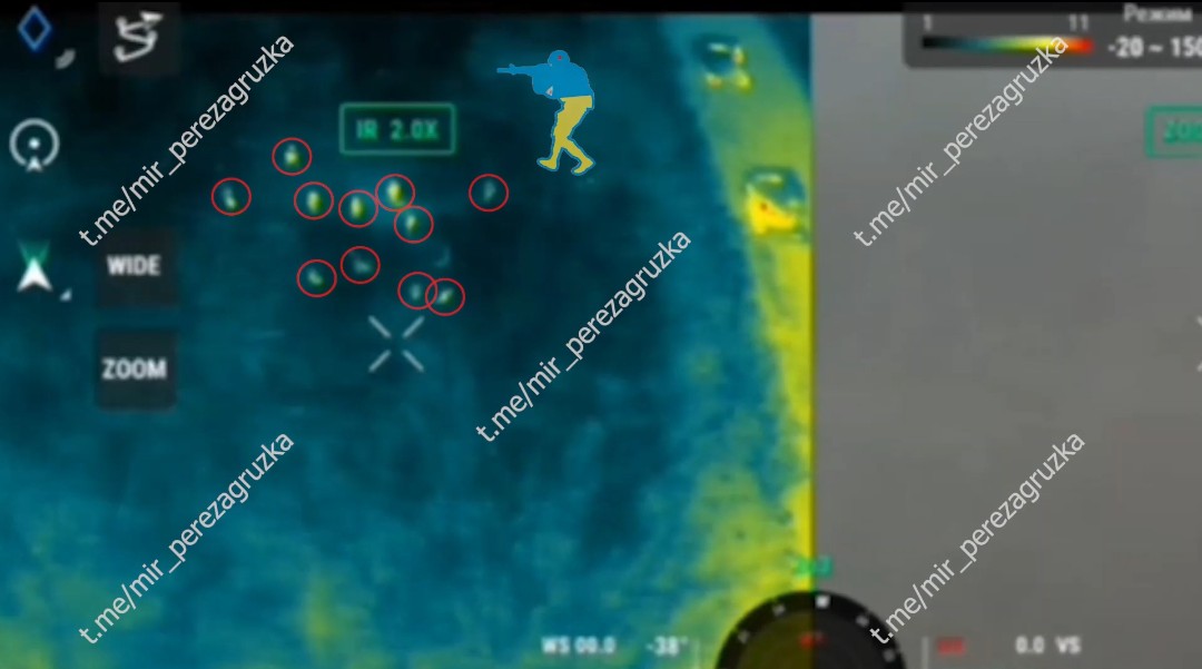 den_samoa tweet media