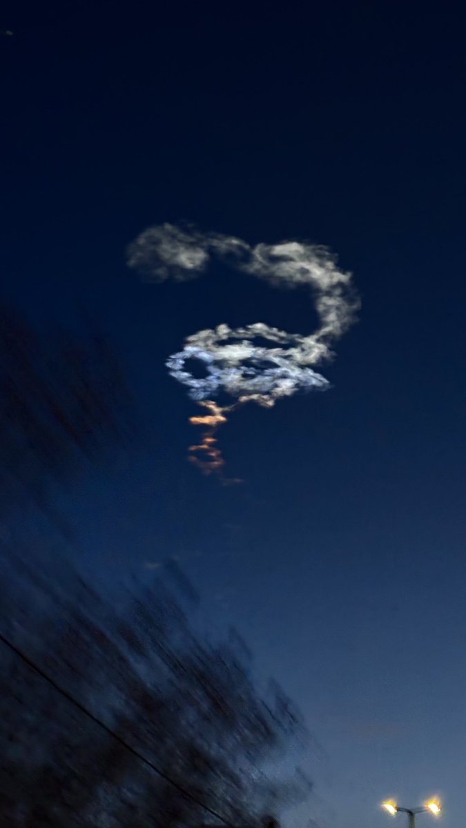 رؤیا سادات 🦢 tweet media