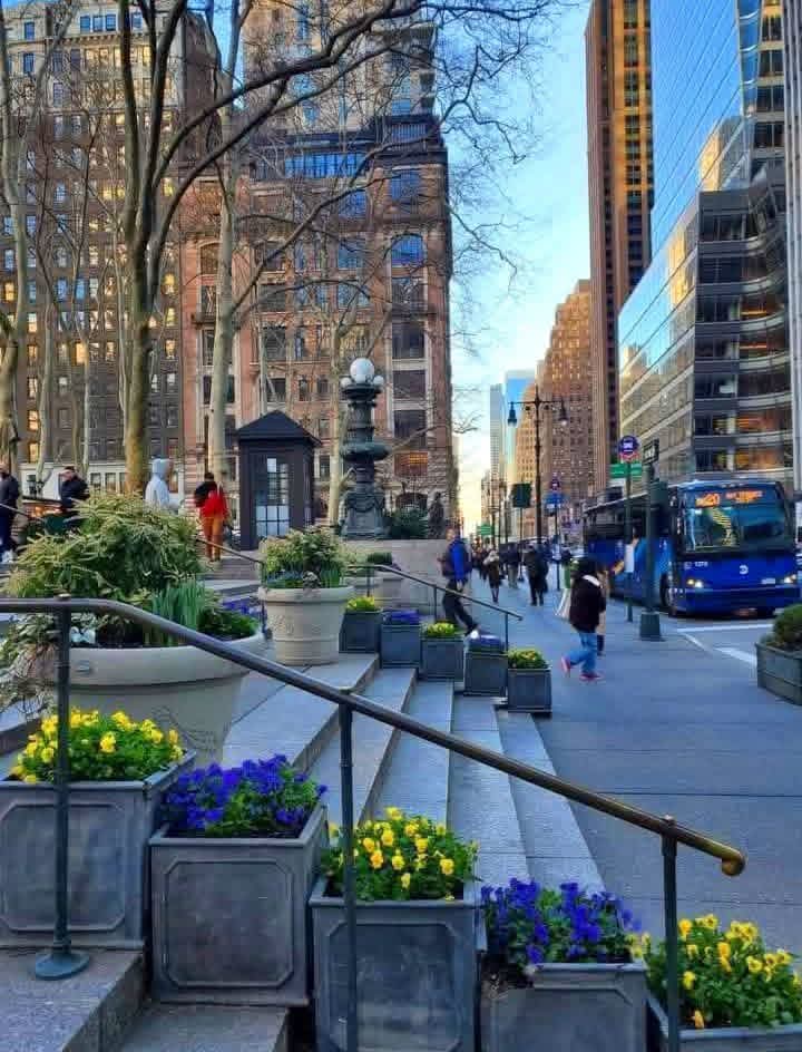 Wander Aesthetic tweet media