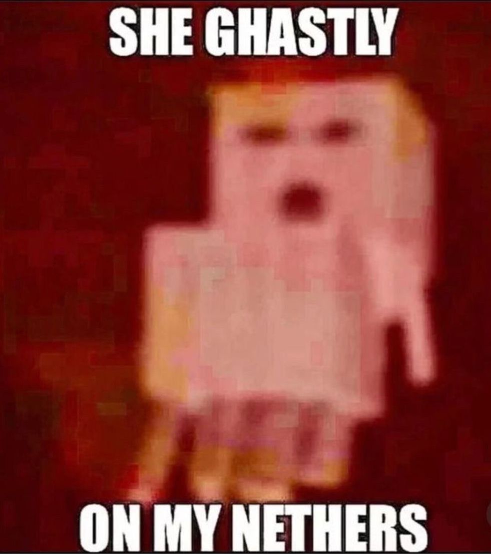 equine__dentist's tweet image. 