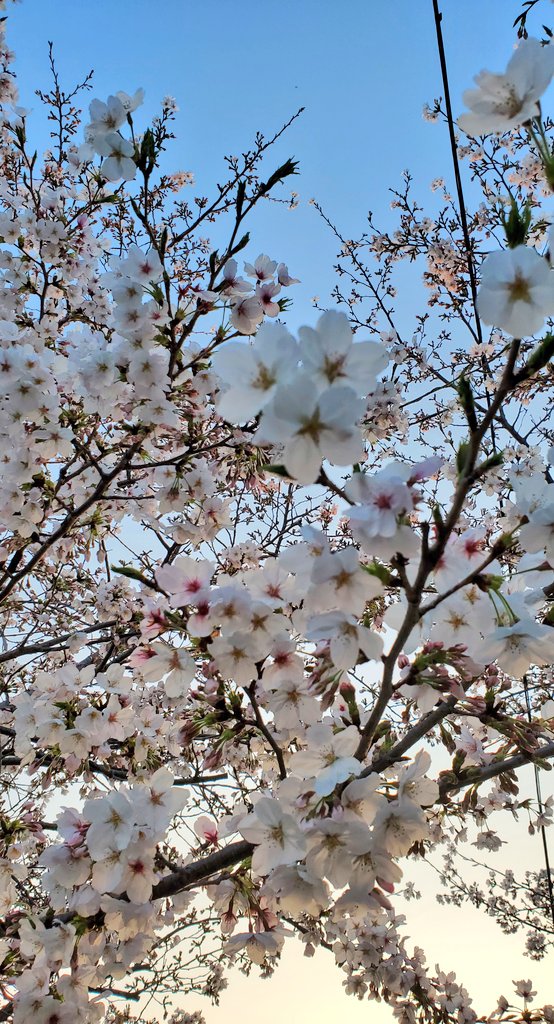 A太郎@初見ゲーム実況局 tweet media