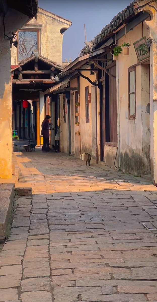 مهند الغامدي tweet media