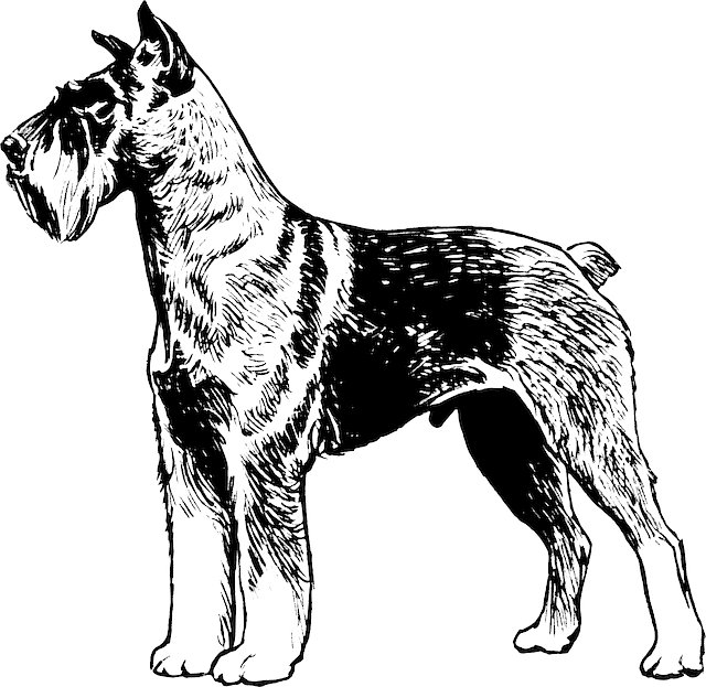 TashaDavisKDuQ's tweet image. 네 존재가 위로야 Yuri cảm ơn 🍀 vì sự giúp đỡ thầm lặng شكراً لمساندتك الصادقة

#SustainableWellness