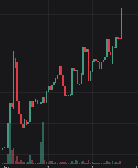 Satoshi Sunrise tweet media