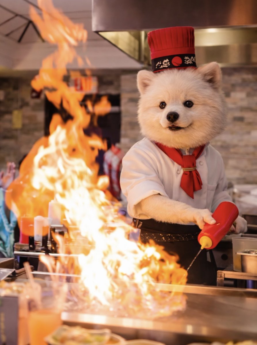 Crypto-Boy02 tweet media