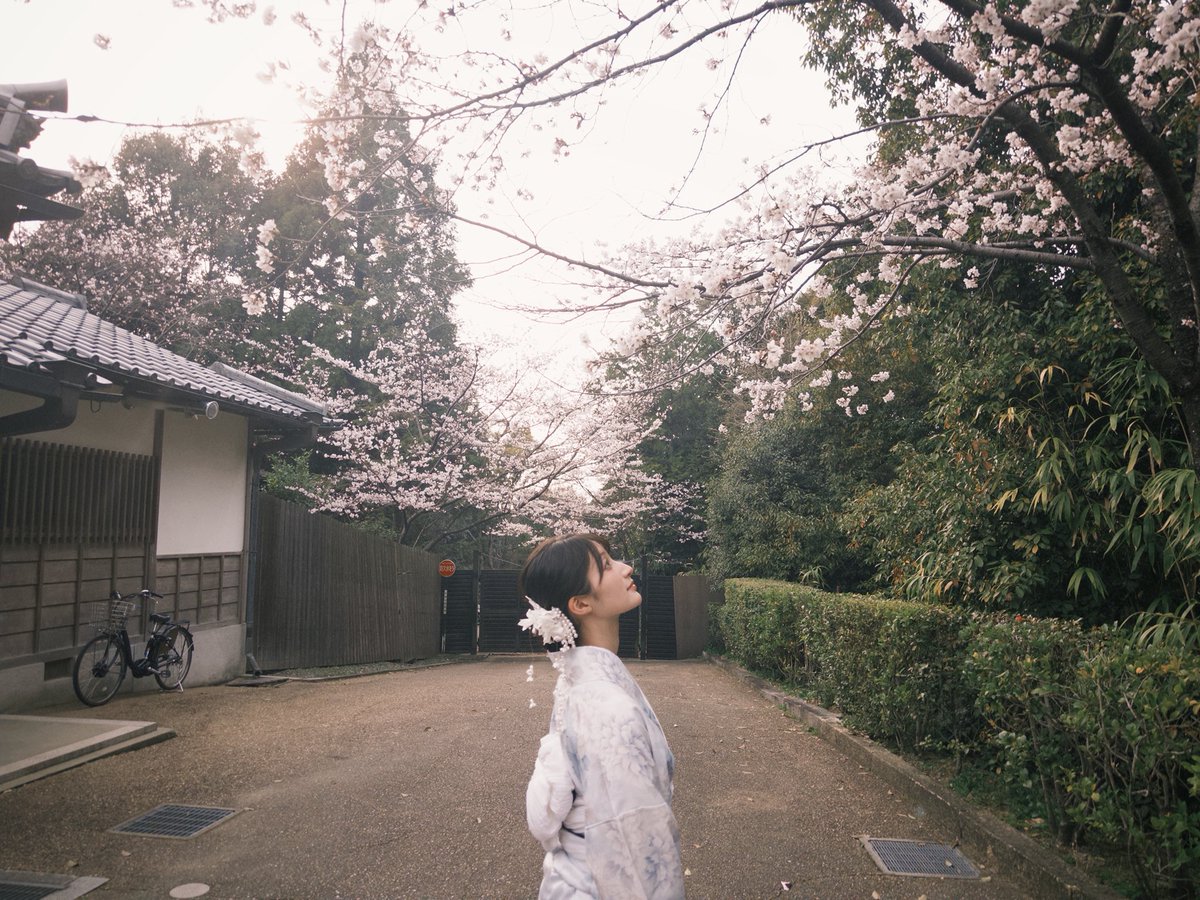 井上音生 tweet media