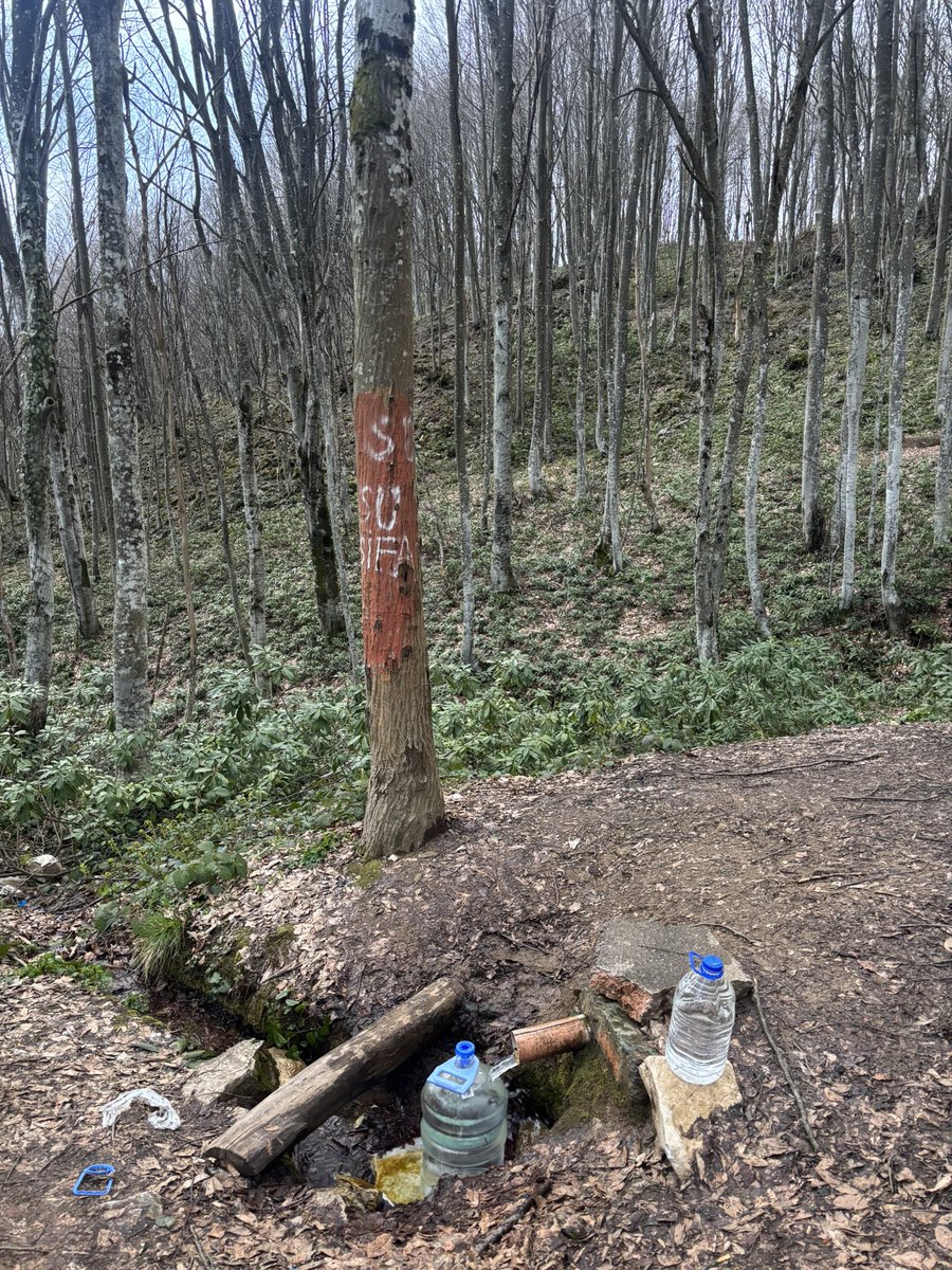 becks🇵🇸 tweet media