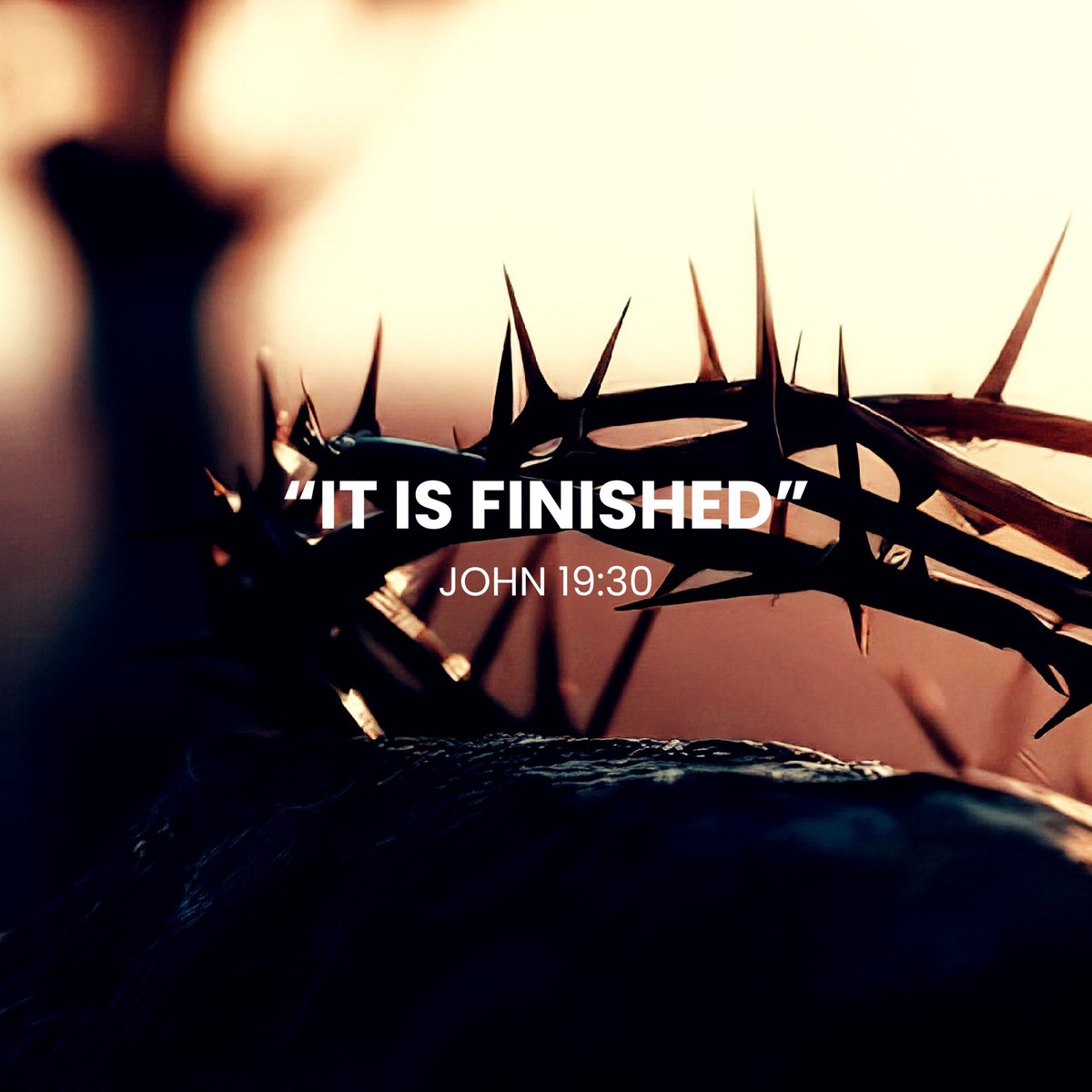 T (@tlovesthebeach) on Twitter photo 