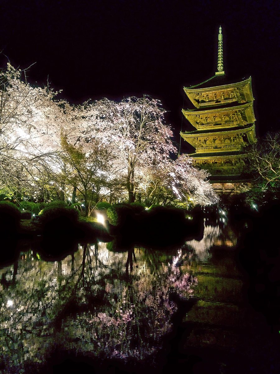 束子-tabako- tweet media