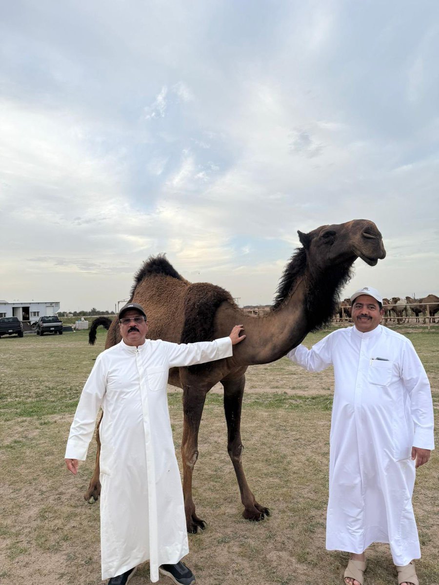 H_AlHarbi's tweet photo. اليوم في ضيافة #راجح_وفيصل_حمد_المخيال في العبدلي
 
…. علي العزة والكرم

وبحضور #فيصل_المخيال_وفهد_المخيال 
#وجاسم_الخشتي_والدوسري   وكانت الاجواء جميل و اكثر من الابداع
وجمال الأبل  والحليب الساخن والرغوة

وهذا الكرم ليس  ب غريب علي #ابناء_العم_حمد_المخيال الجار الوقور  اكثر
60 عام ولازلنا نحن #الخشمان_المخيال باقون علي العهد من الاباء الي هذه اللحظة