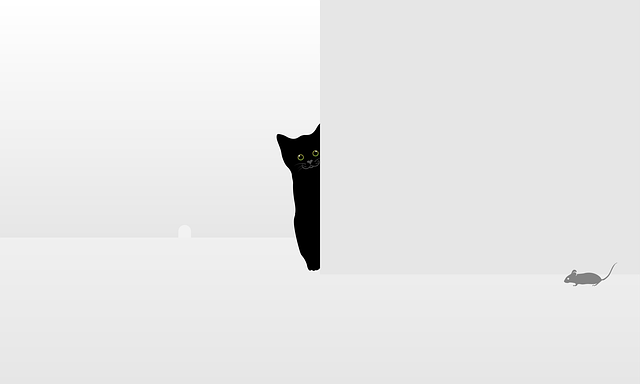 Nancy Adams tweet media