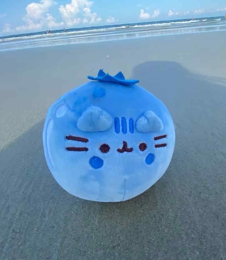 rowny gosc tweet media