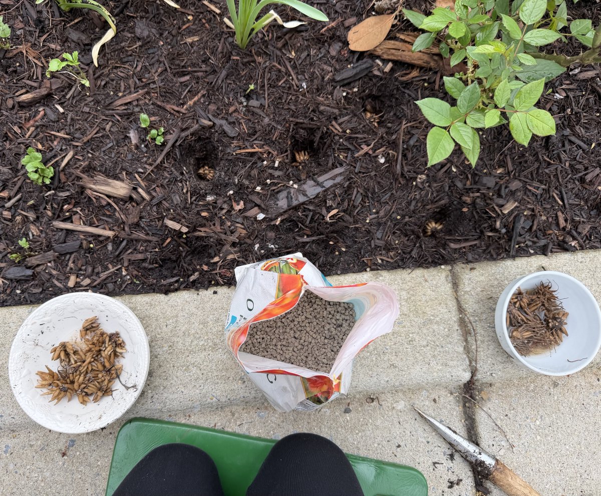 Harmeet K. Dhillon tweet media