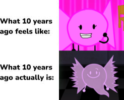 Bow Daily tweet media