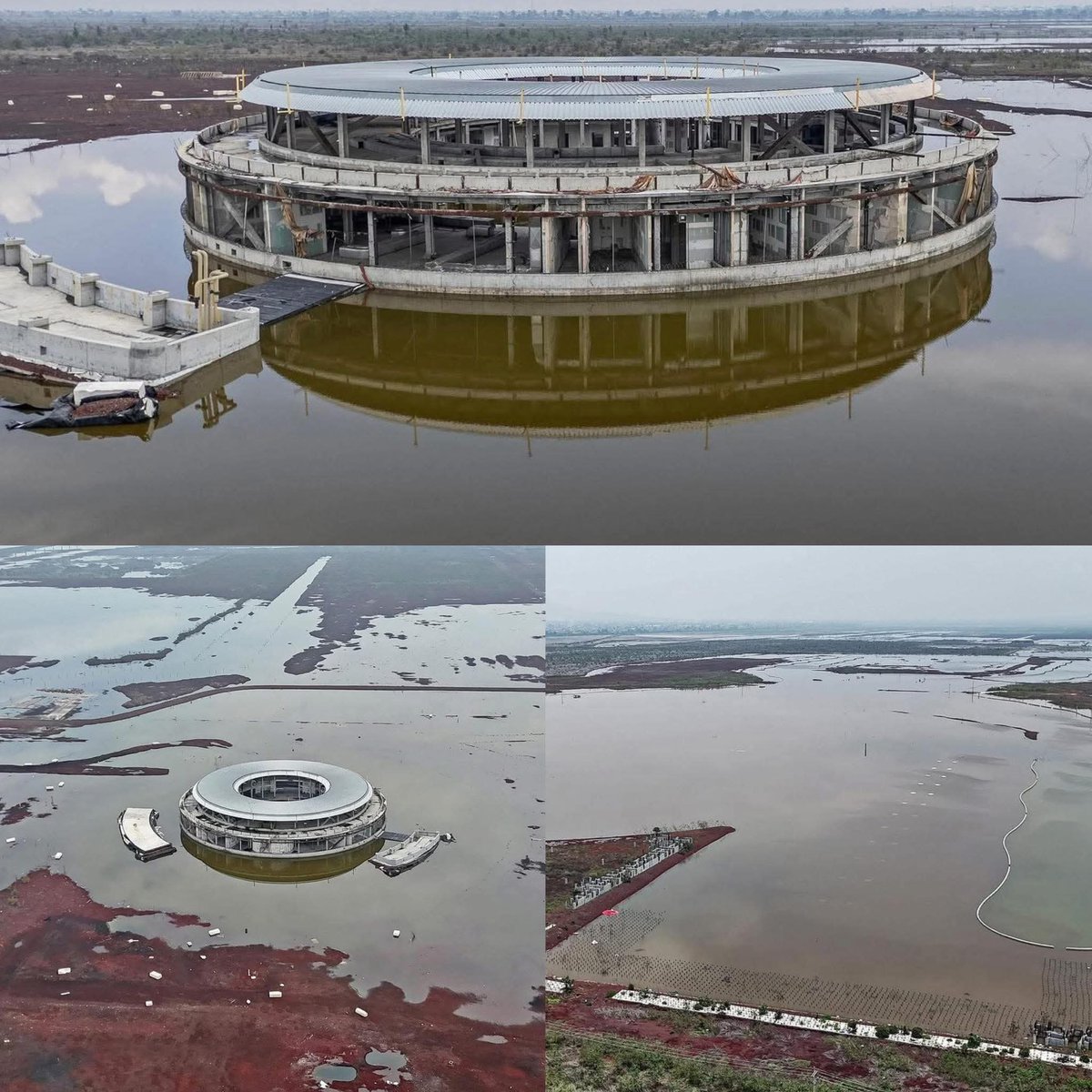 Miguel Almeida 🇲🇽 tweet media