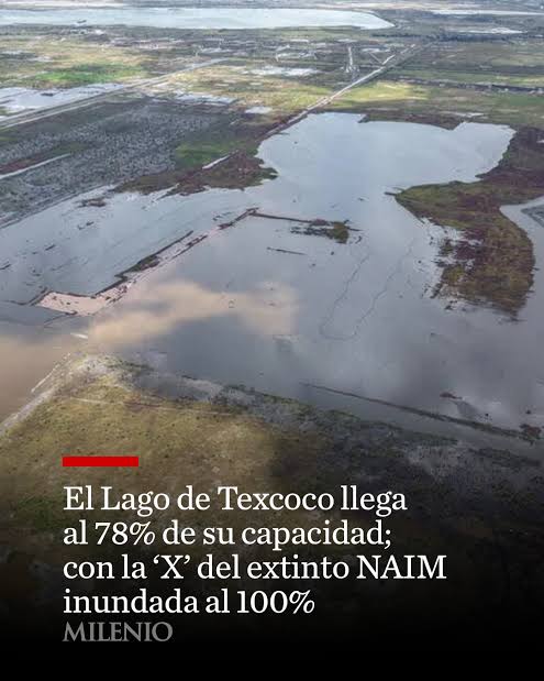 Miguel Almeida 🇲🇽 tweet media