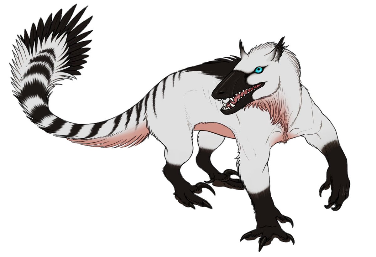 NightRaptor (COMMS OPEN) tweet media