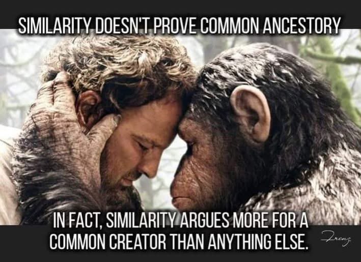 Not Evolution tweet media