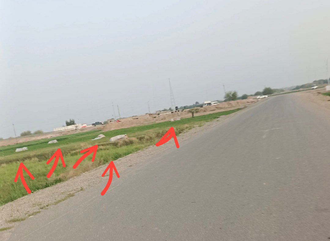 🇮🇶 Omar tweet media