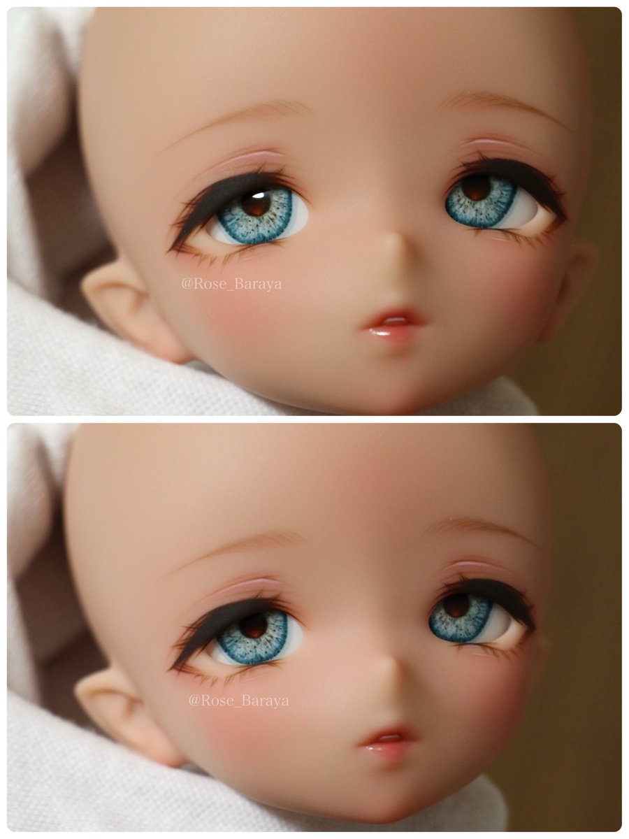 薔薇屋🦢 tweet media