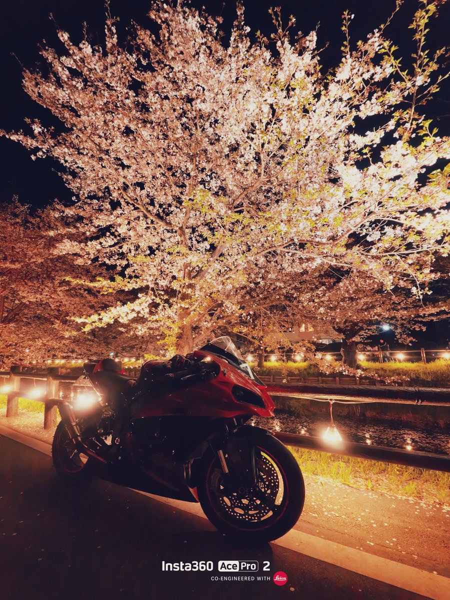 夜桜ツー 楽しかった♡ #zx6r #zx10r #yzfr1