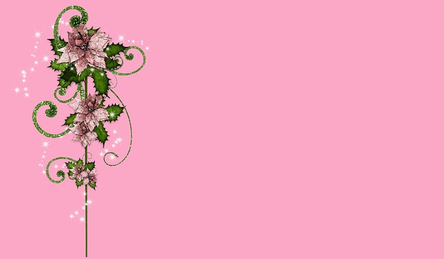 Sebastian Stephenson tweet media