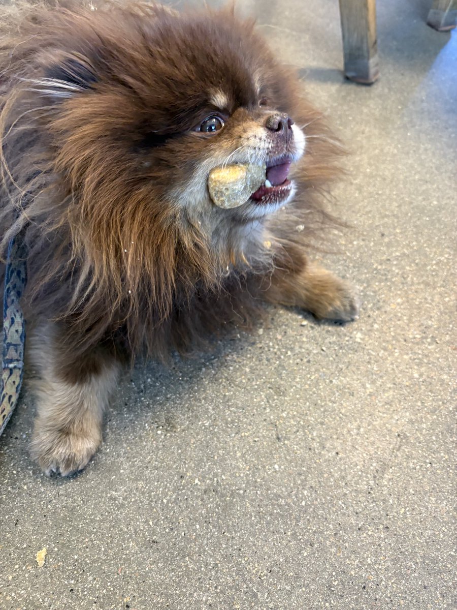 kristen c tweet media