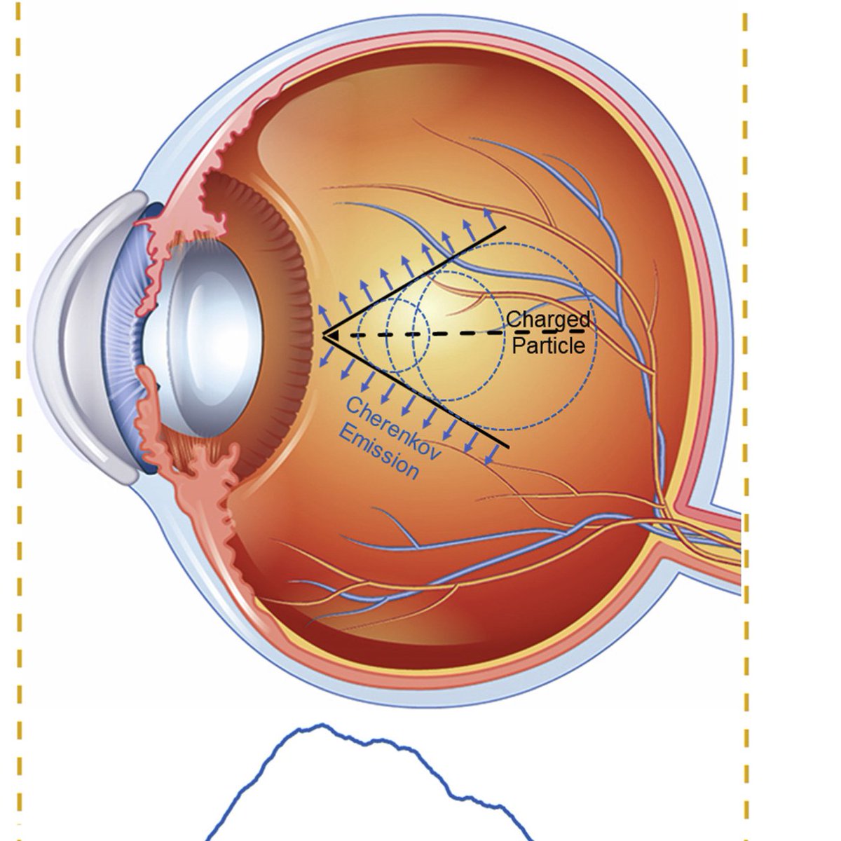Nick Mark MD tweet media